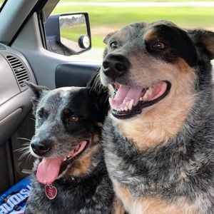 Meet your Posher, Matthew